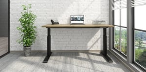 Rendering_007ENVBV_Elegante XT_2-Leg_Standard Base_NXTAAS304830BST_Crop